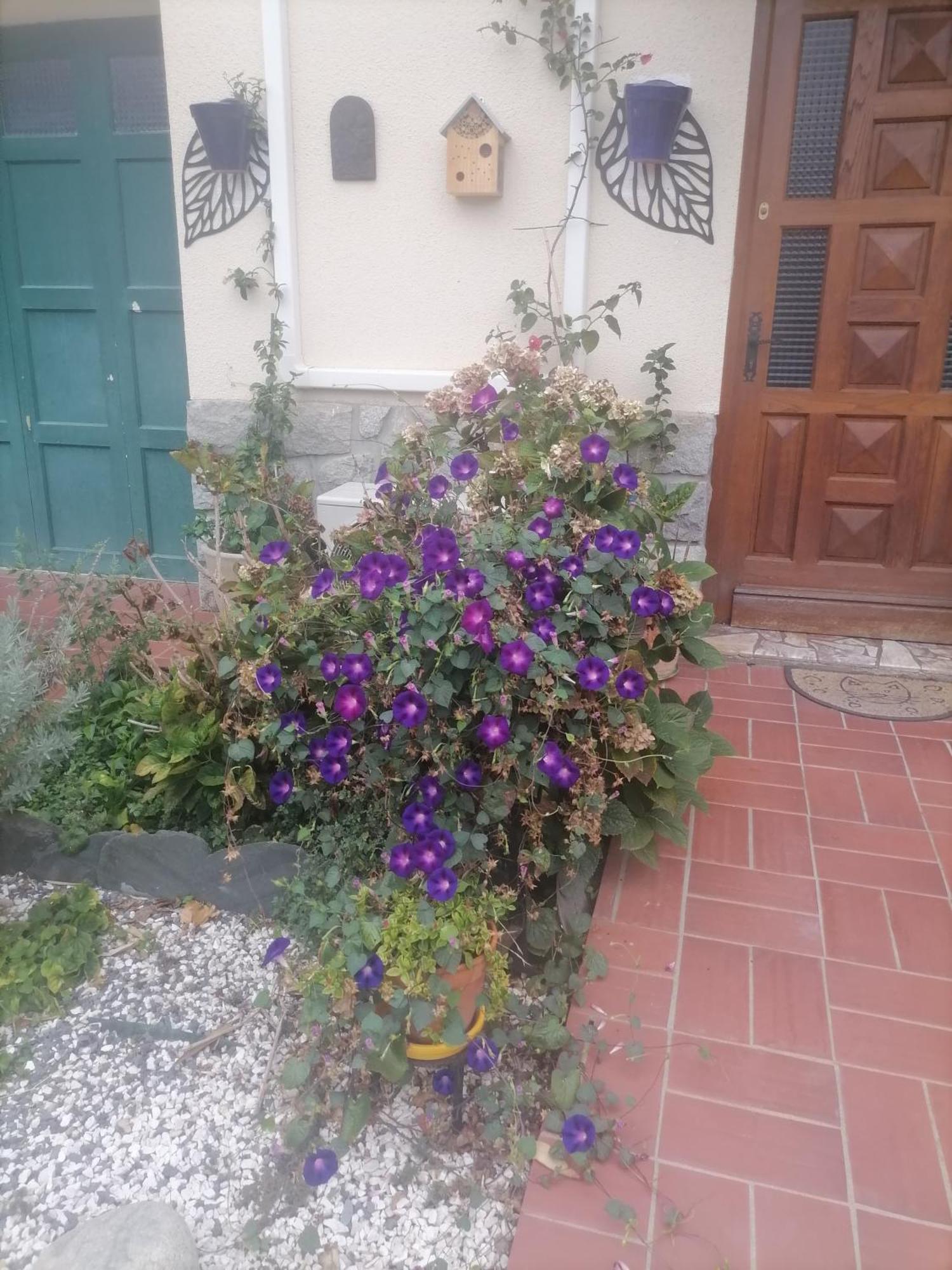 Maison Du Soleil Прад Экстерьер фото